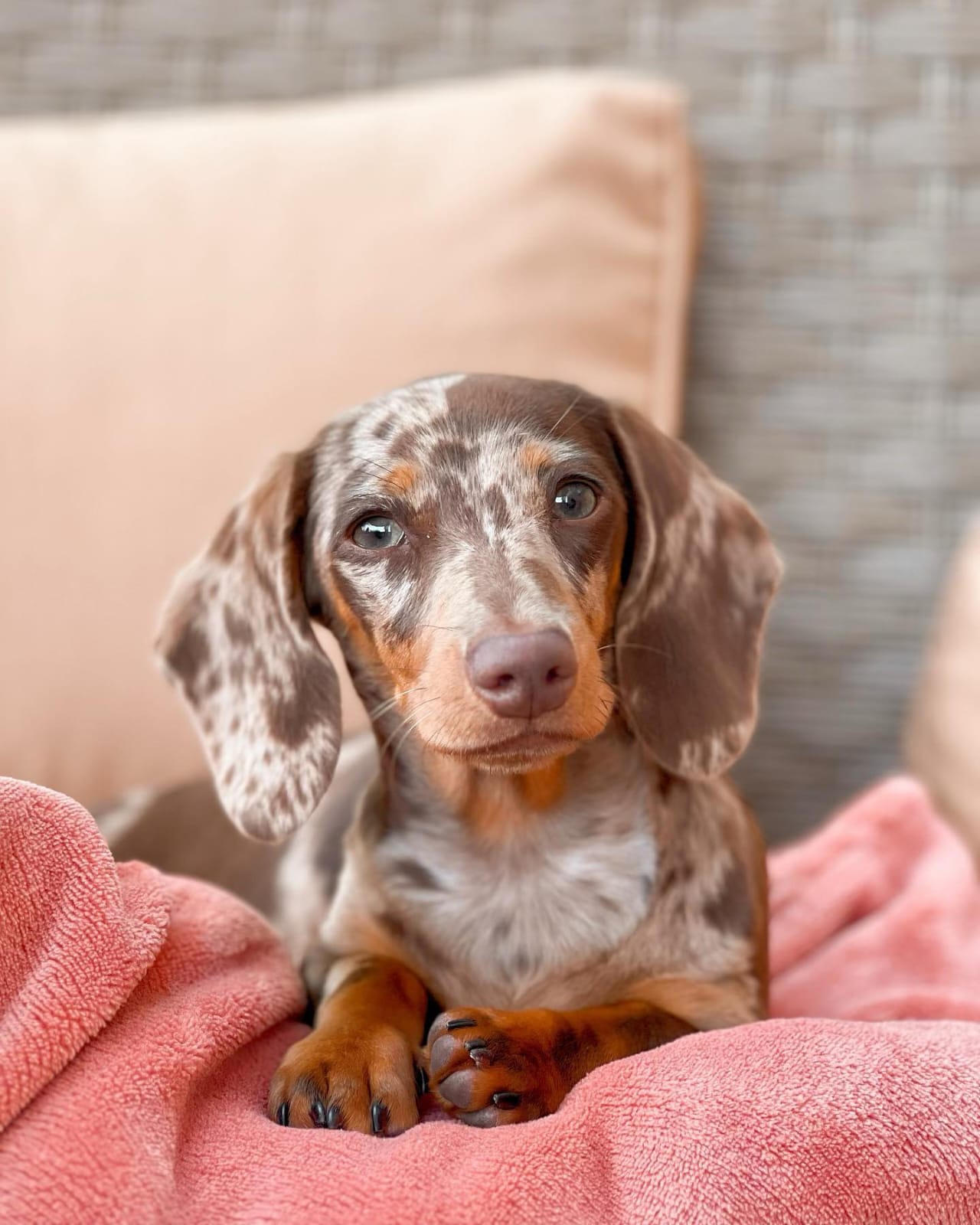 WhatsApp Image 2024-03-25 at 5.10.44 PM (1)