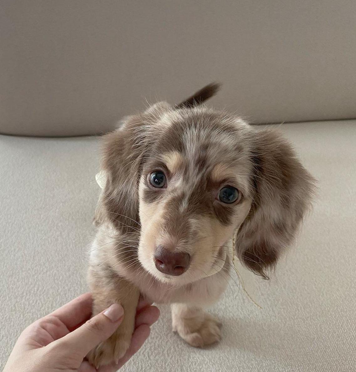 WhatsApp Image 2024-03-25 at 5.52.57 PM (2)