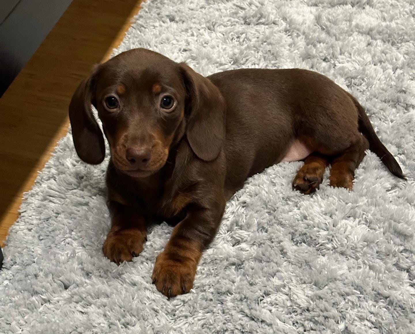 WhatsApp Image 2024-03-25 at 6.27.37 PM